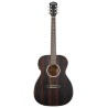 GUITARRA WASHBURN EACUST. MOD. EBONY FE