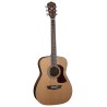 GUITARRA WASHBURN TEXANA     F11S