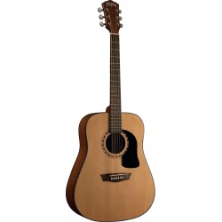 GUITARRA WASHBURN TEXANA    AD5