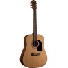 GUITARRA WASHBURN TEXANA    AD5