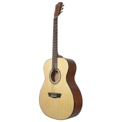 GUITARRA WASHBURN TEXANA  MOD. AF5K C/ESTUCHE
