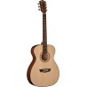 GUITARRA WASHBURN TEXANA    AF5