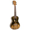 UKELELE FLIGHT CONCIERTO DUC 430 DAO