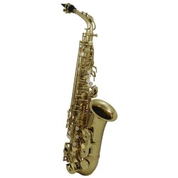 SAXOFON ROY BENSON   MOD. AS-202