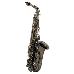 SAXOFON ROY BENSON   MOD. AS-202A