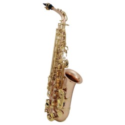 SAXOFON ROY BENSON   MOD. AS-202G