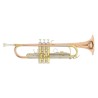 TROMPETA ROY BENSON C/ESTUCHE   TR-202G