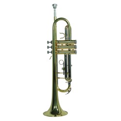 TROMPETA WESNER C/ESTUCHE   PTR1000C-G