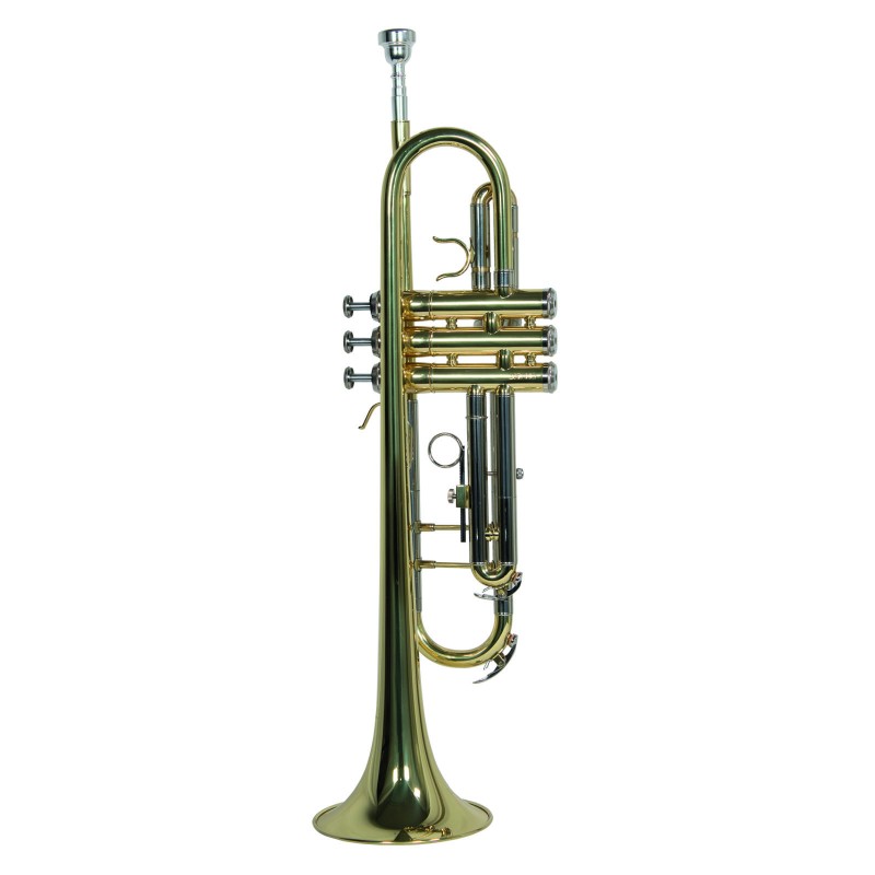 TROMPETA WESNER C/ESTUCHE   PTR1000C-G