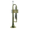 TROMPETA WESNER C/ESTUCHE   PTR1000C-G